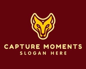 Monoline Lioness Safari logo