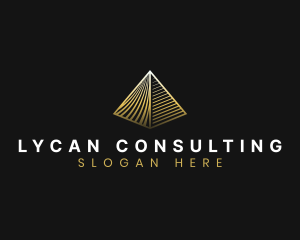 Professional Pyramid Agency logo design