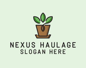 Garden Plant Pot  logo design