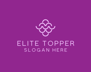 Wine Grapes Fruit logo design