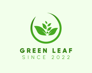 Green Leaf Wellness logo design