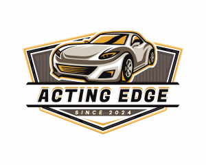 Car Detailing Automotive  logo design