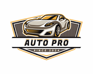 Car Detailing Automotive  logo design