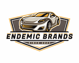 Car Detailing Automotive  logo design