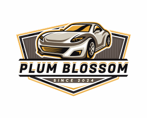 Car Detailing Automotive  logo design