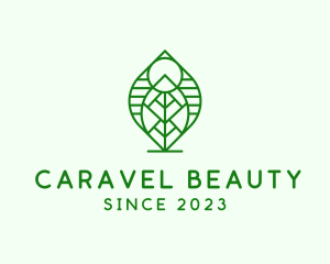 Natural Beauty Leaf logo design