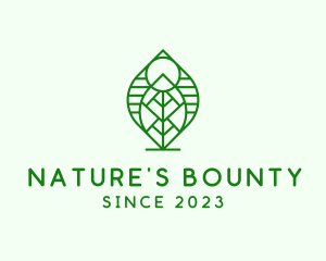 Natural Beauty Leaf logo design