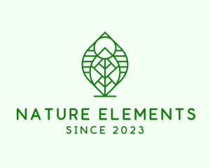 Natural Beauty Leaf logo design