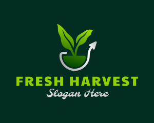 Nature Plant Growth logo design