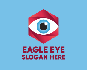 Surveillance Eye Camera logo