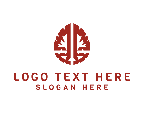 Brilliant logo example 2