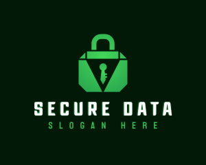 Padlock Data Security logo