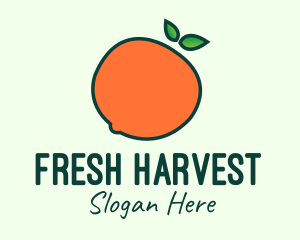 Organic Orange Fruit logo design