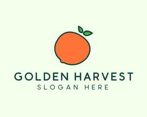 Organic Orange Fruit logo design