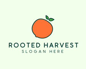 Organic Orange Fruit logo design