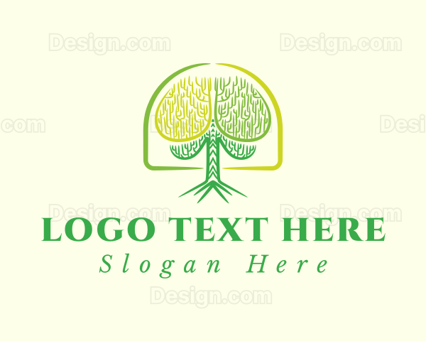 Brain Tree Psychology Logo