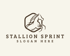 Horse Stallion Polo logo design