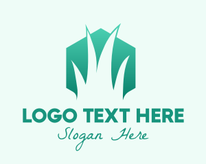 Natural Hexagon Grass logo design