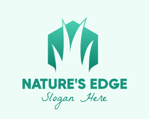 Natural Hexagon Grass logo design
