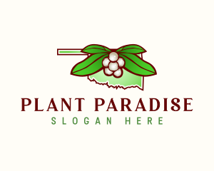 Oklahoma Mistletoe Plant logo design