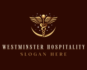 Deluxe Caduceus Hospital logo design