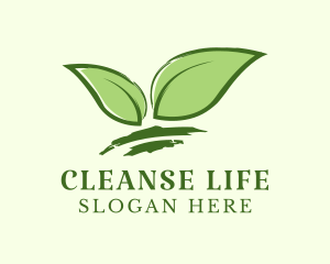 Natural Wellness Tea Leaf logo
