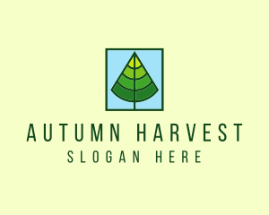 Nature Forest Tree logo design