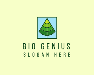 Nature Forest Tree logo design