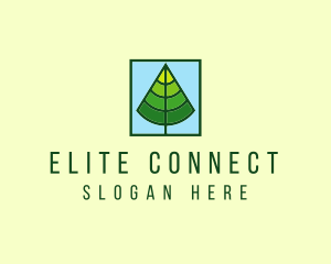 Nature Forest Tree logo design