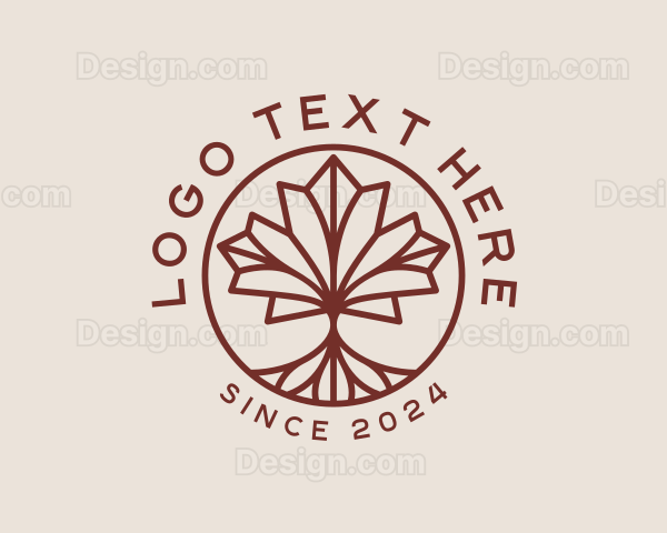 Maple Leaf Tree Logo