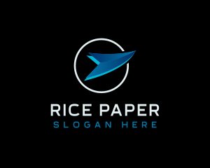 Plane Courier Delivery logo design