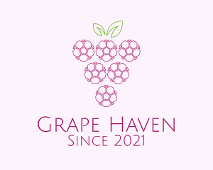 Outline Grape Fruit  logo design