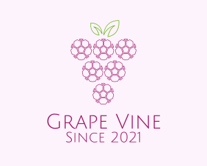 Outline Grape Fruit  logo design