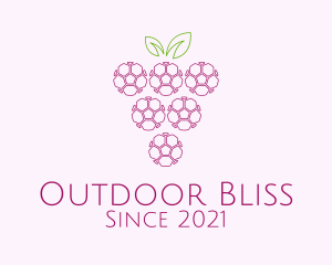 Outline Grape Fruit  logo design