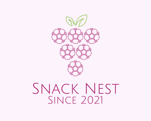 Outline Grape Fruit  logo design