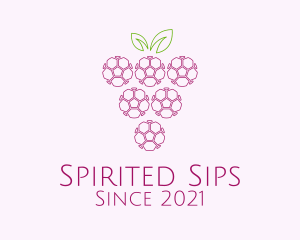 Outline Grape Fruit  logo design