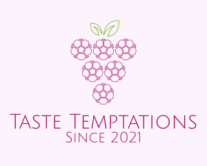 Outline Grape Fruit  logo design