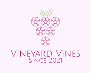 Outline Grape Fruit  logo design