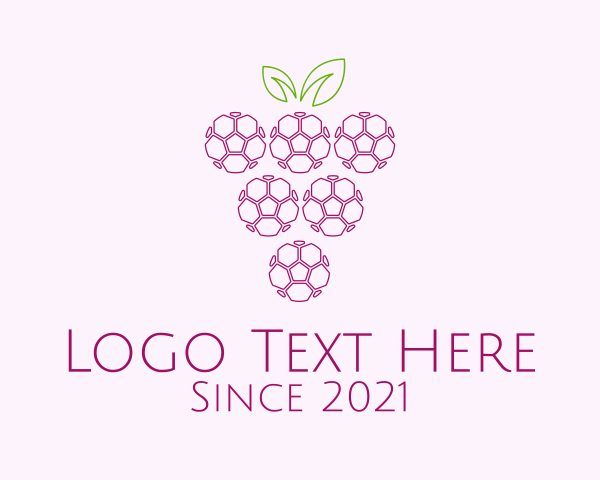 Fruit Drink logo example 1