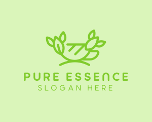 Organic Green Tea Cup logo