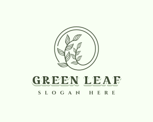 Herbal Botanical Plant Leaf logo design