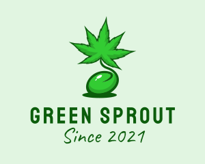 Medical Marijuana Seed  logo