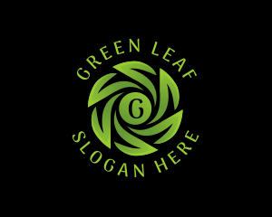 Natural Eco Leaves logo design