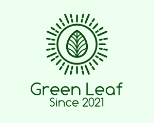 Green Sun Leaf logo design