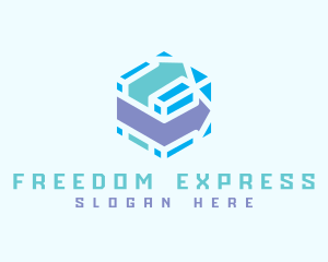 Express Delivery Logistics logo design