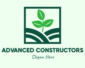 Organic Plant Seedling logo design