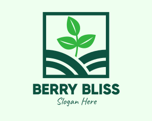 Organic Plant Seedling logo design