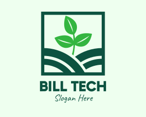 Organic Plant Seedling logo design