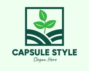 Organic Plant Seedling logo design