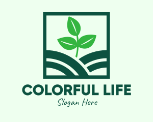 Organic Plant Seedling logo design